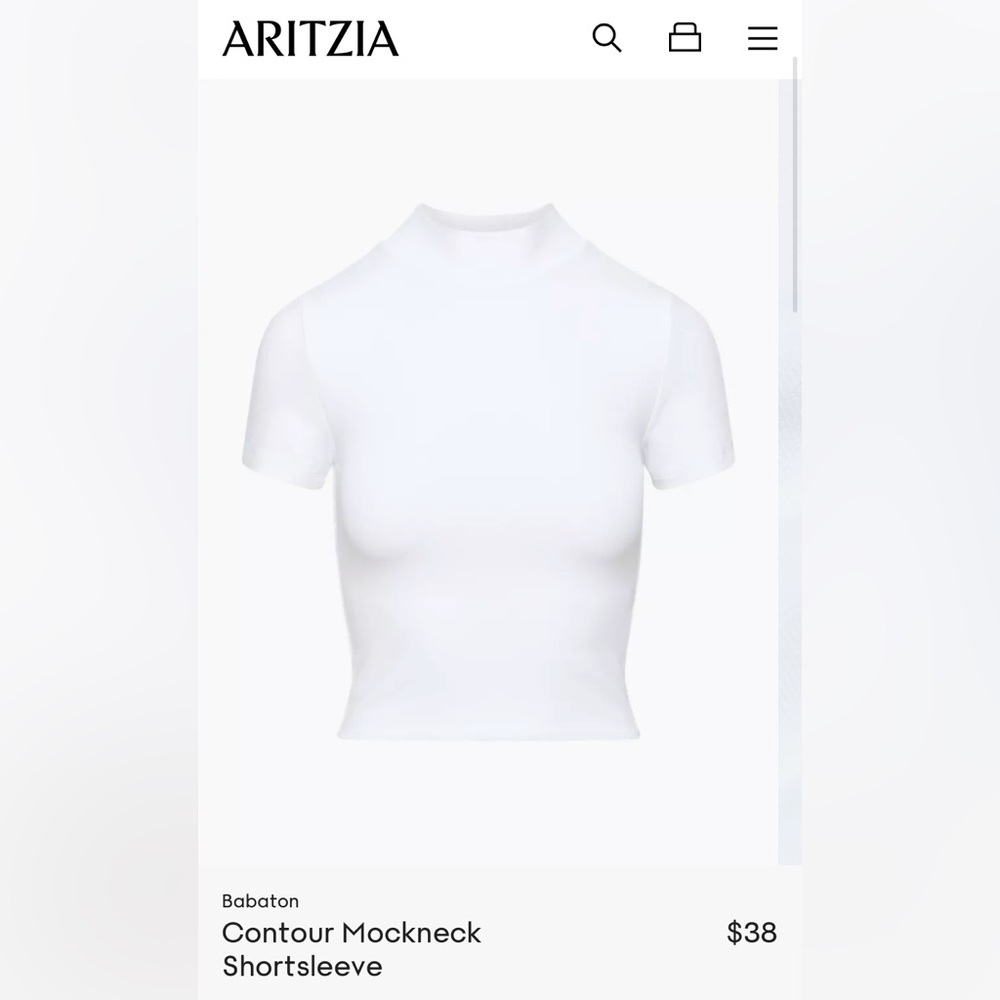 Aritzia Babaton white cropped turtleneck